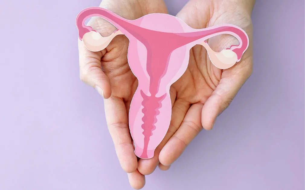 Manos sosteniendo recorte de utero